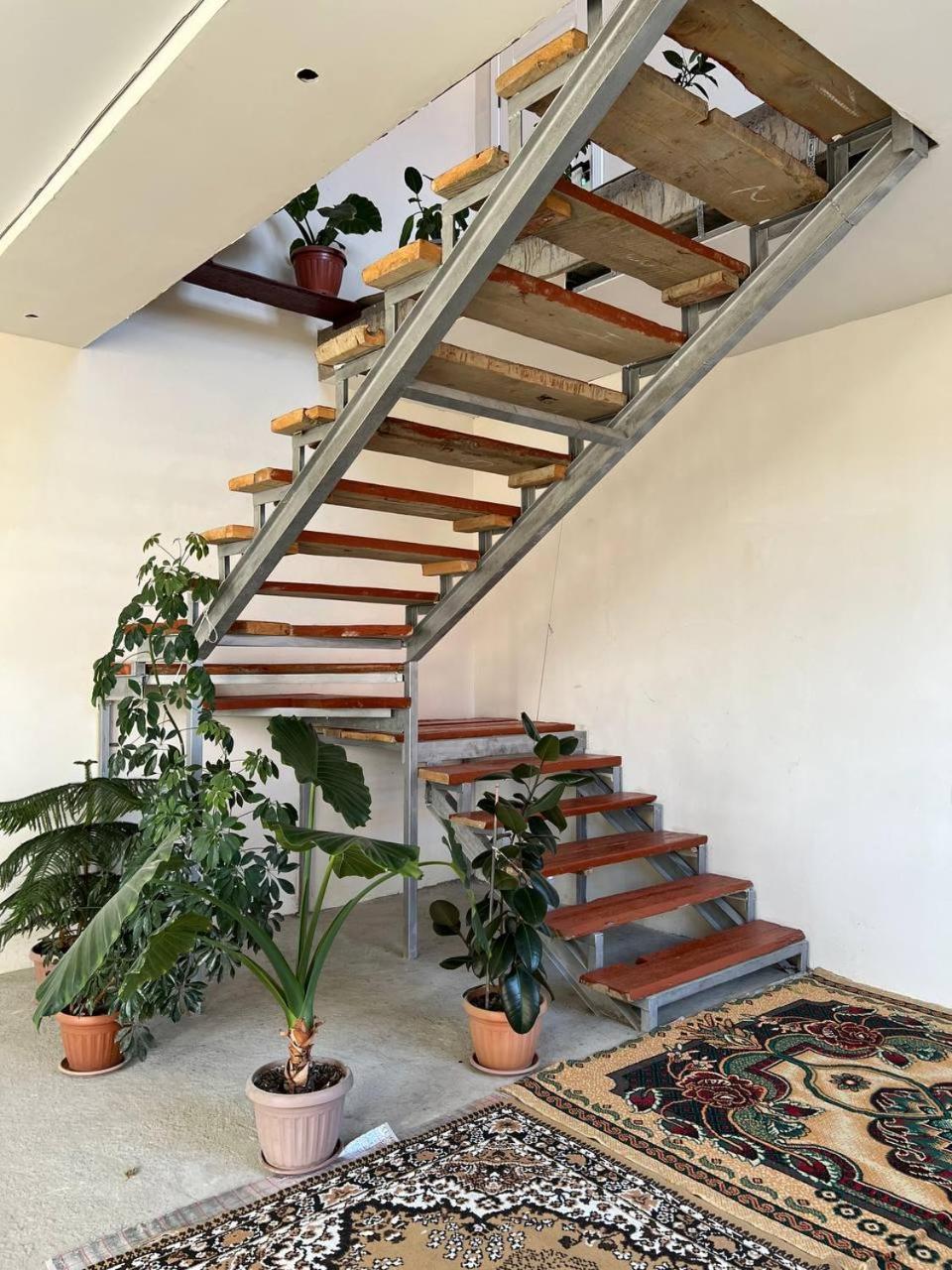 Emir Guest House In كاراكول المظهر الخارجي الصورة